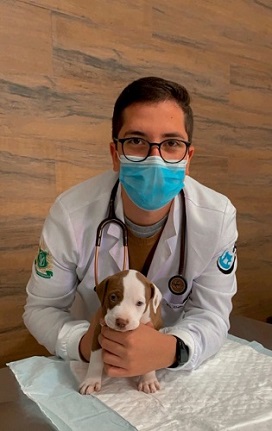 Dr. Diogo